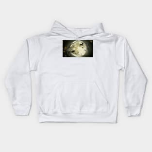 Moon bat Kids Hoodie